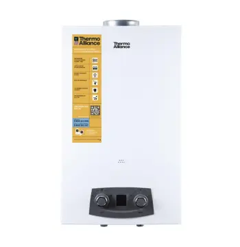Газовая колонка дымоходная Thermo Alliance JSD20-10N-QB EURO+ с производительностью 10 л/мин (JSD2010NQBEUROPLUS)