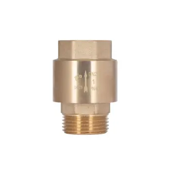 Обратний клапан Thermo Alliance Standart 1"ВН с латунным штоком TAS248W25