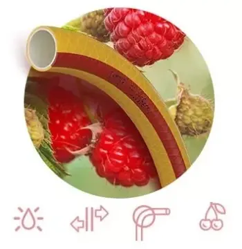 Шланг FRUIT+BERRY Ø 3/4" 50м, 3х сл. (жовтий з червоною смугою)