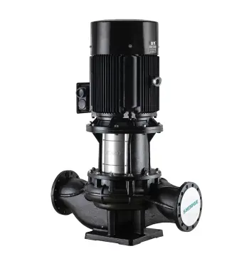 TB65-30/2 SHIMGE 380В цирк. сухий ротор 5,5 кВт Hmax 35м Qmax 833л/хв DN65 360мм