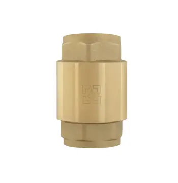 Зворотний клапан для води Raftec EUROPE DN25 1" NRVF03
